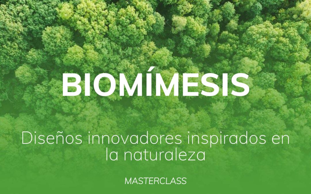 Biomímesis_ diseños innovadores inspirados en la naturaleza